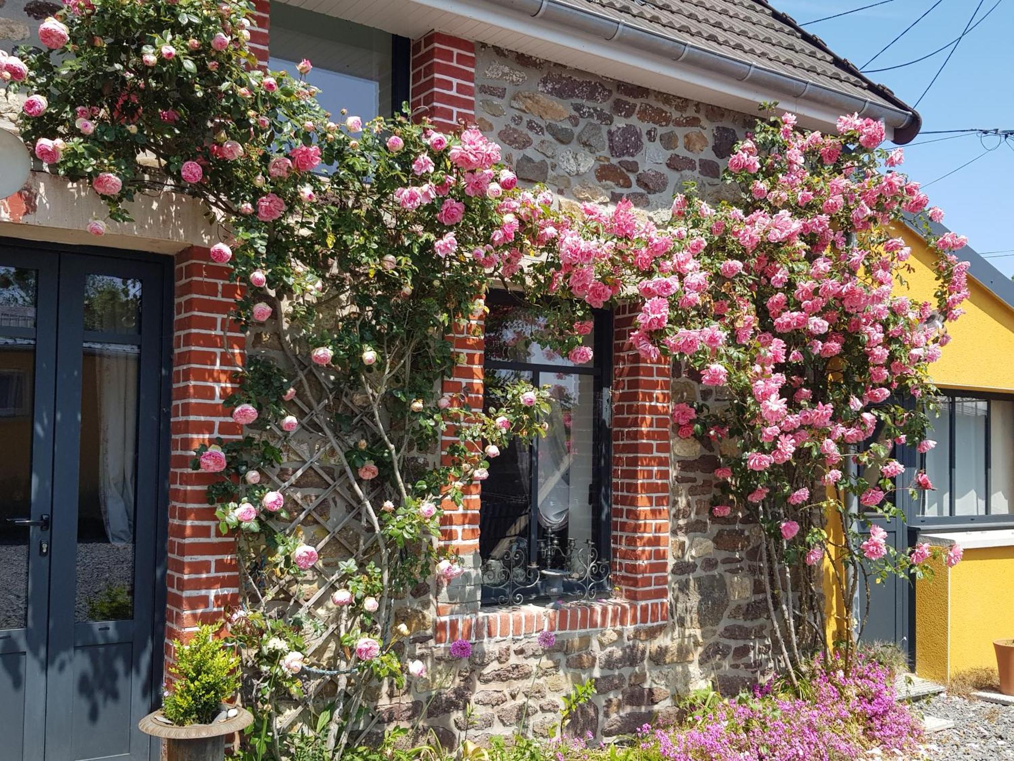 Le Jardin Bed & Breakfast Coudeville Екстериор снимка