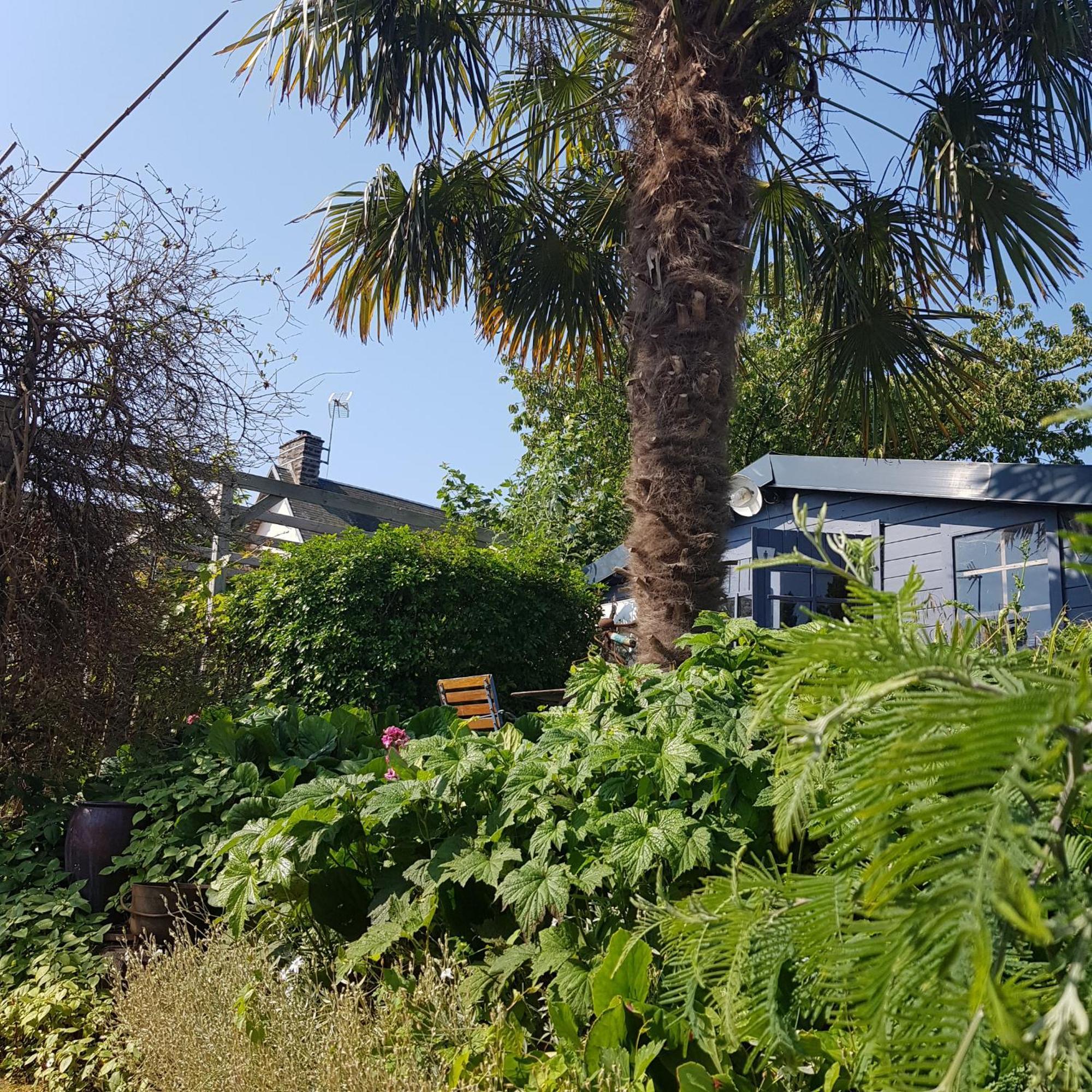 Le Jardin Bed & Breakfast Coudeville Екстериор снимка