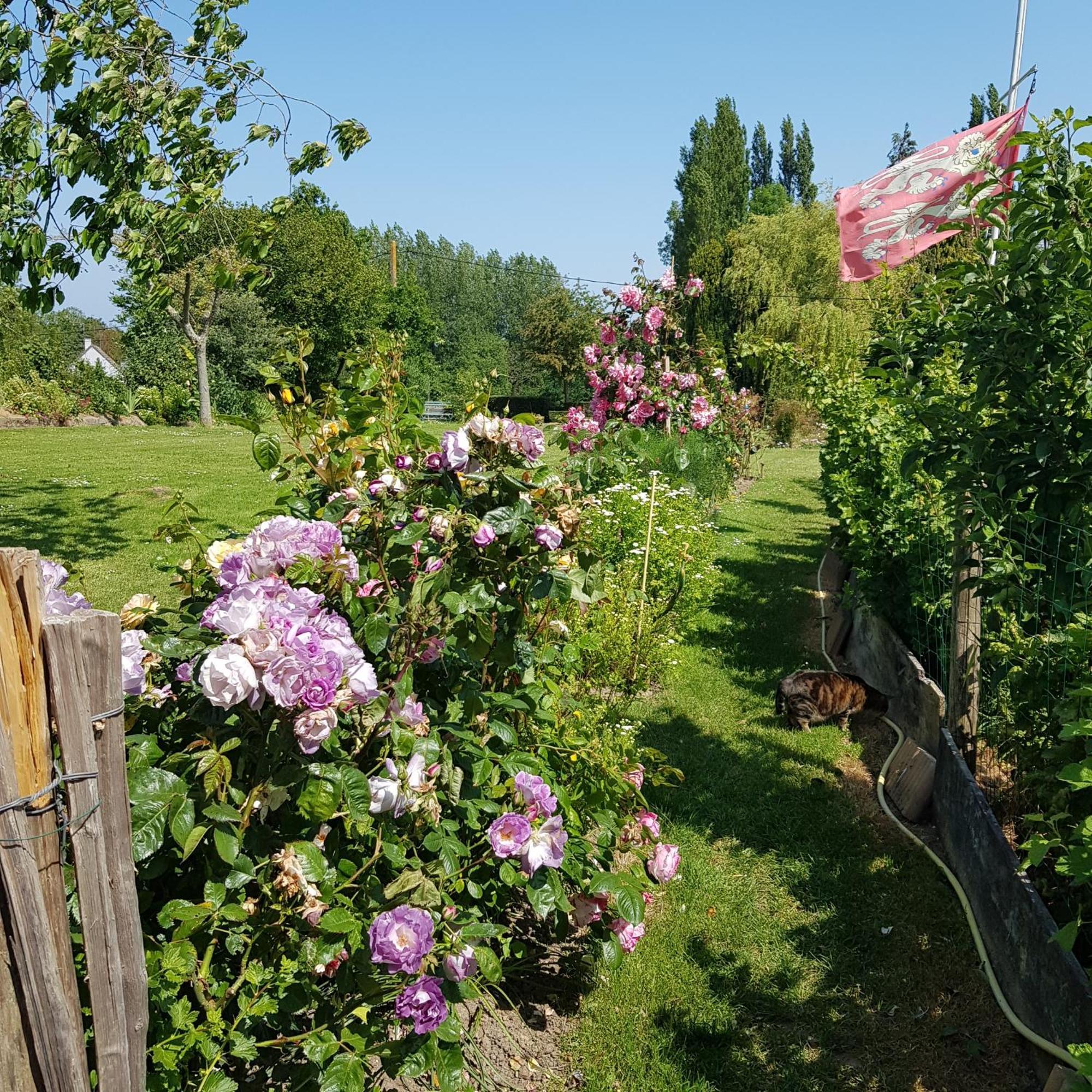 Le Jardin Bed & Breakfast Coudeville Екстериор снимка